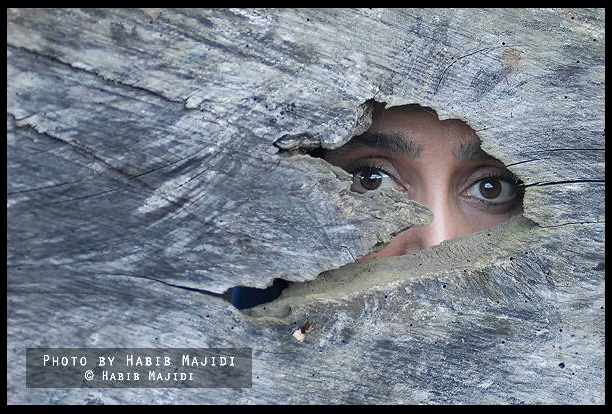 فیلم من و زیبا عکاس حبیب مجیدی
