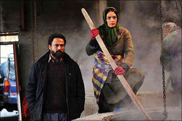 دایره داوود