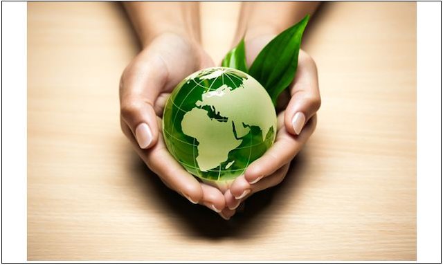 بررسی انیمیشن لوراکس(The Lorax)