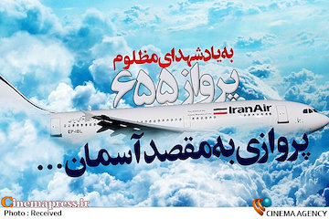 هواپیمای ایرباس ۶۵۵ ایران
