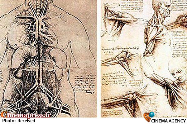 نقاشی بدن انسان داوینچی